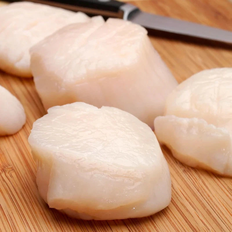 Large Scallops 10-20